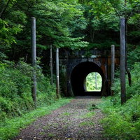緑の森に埋もれた廃線になったトンネルの入り口の写真