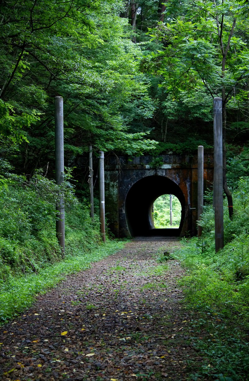 緑の森に埋もれた廃線になったトンネルの入り口