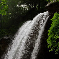 森の中を豪快に流れ落ちる雷滝の水しぶきの写真