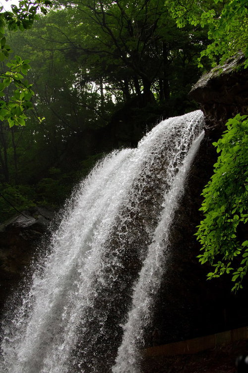 森の中を豪快に流れ落ちる雷滝の水しぶき