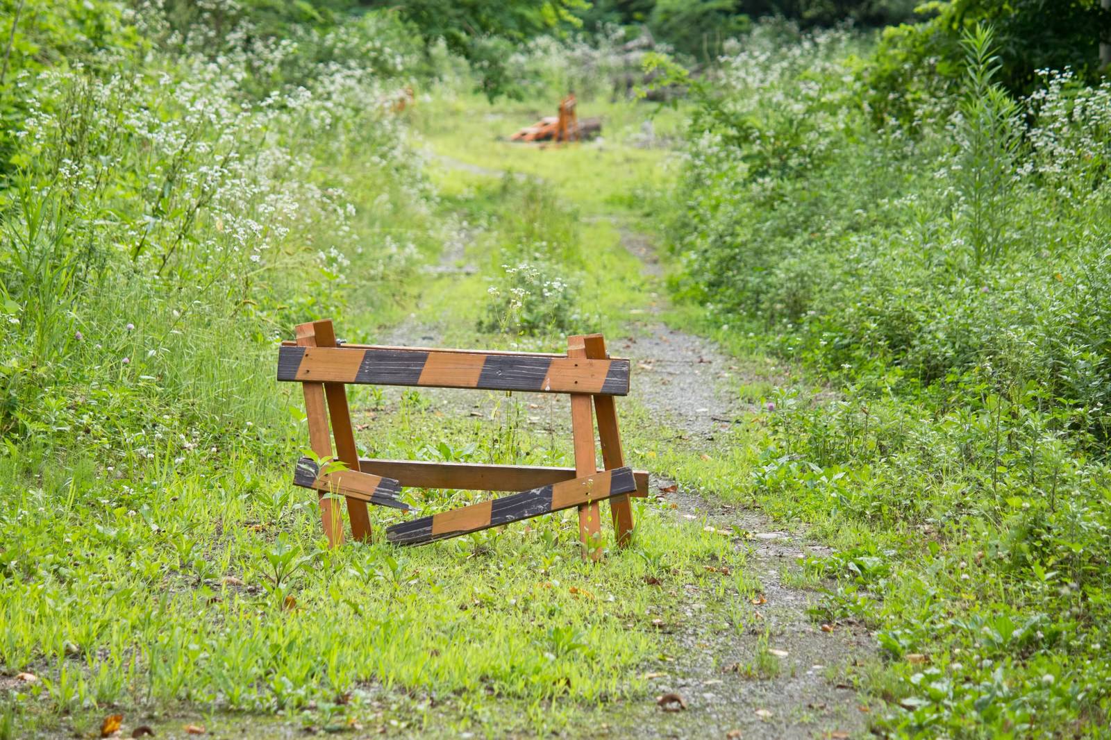 草木が茂る山道の壊れた通行止めバリケード