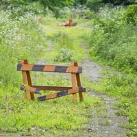 草木が茂る山道の壊れた通行止めバリケードの写真