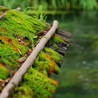 苔がついた古い瓦屋根の建物と流れる川の風景の写真