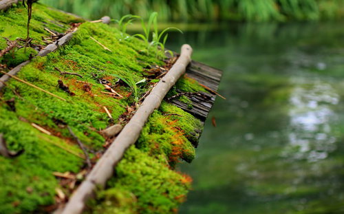 苔がついた古い瓦屋根の建物と流れる川の風景