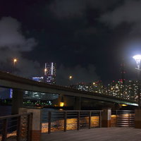 水面に建物の光が映る横浜コットンハーバー地区の夜景の写真