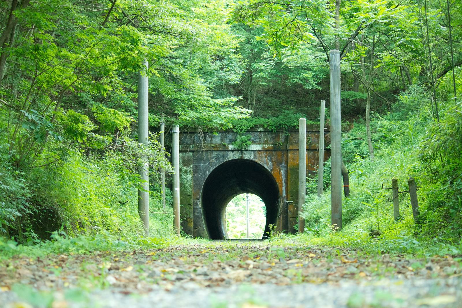 緑に完全に覆われたトンネル通路