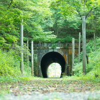 緑の葉とツタに完全に覆われたトンネル状の通路の写真