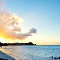 ヤシの木が並ぶビーチのサンセットの写真