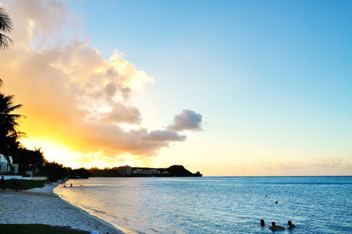 ヤシの木が並ぶビーチのサンセット