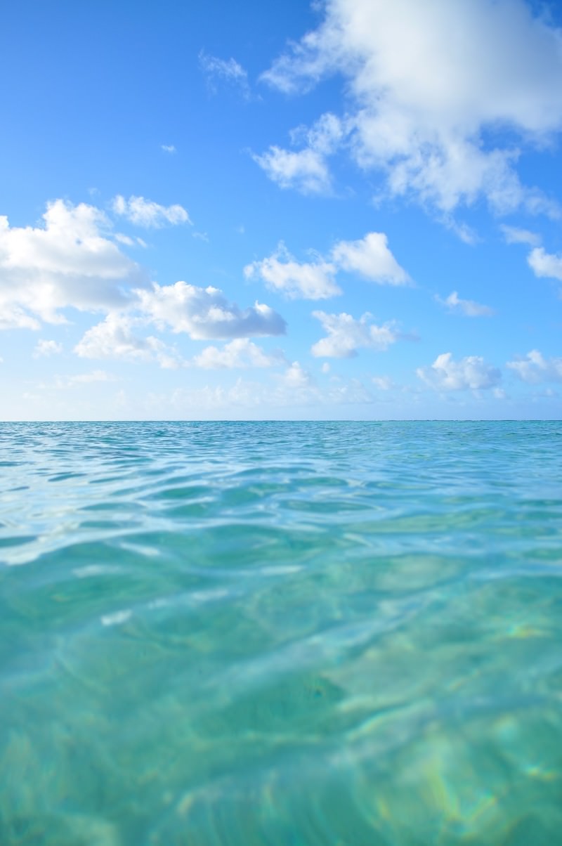 波立つ透明な海と青空の水平線