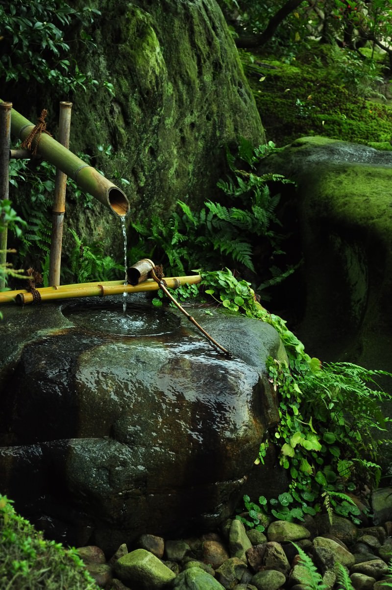 苔が生した古い石の手水鉢