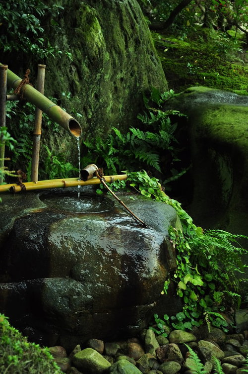 苔が生した古い石の手水鉢と水が溜まる和風の風景