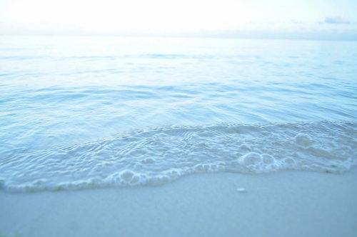 朝日に照らされた砂浜に静かに波が寄せる波打ち際