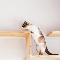 夜のビルで見つけたキャットウォークの写真