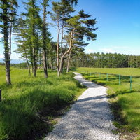 長野原町の浅間牧場で緑に囲まれた遊歩道を散策の写真