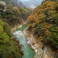 色づきはじめる吾妻渓谷の秋景色～紅葉と清流の写真
