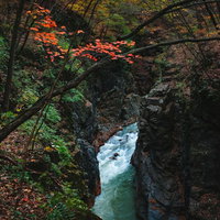 吾妻峡（吾妻川）の夏の渓流と新緑の写真