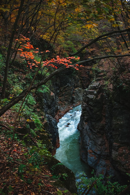 吾妻峡（吾妻川）の夏の渓流と新緑