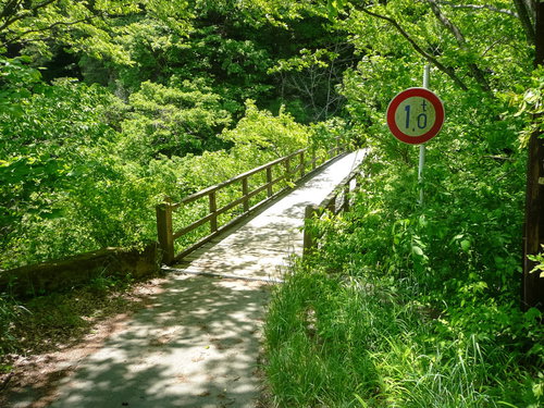 新緑に囲まれた吾妻川にかかる琴橋（長野原町）