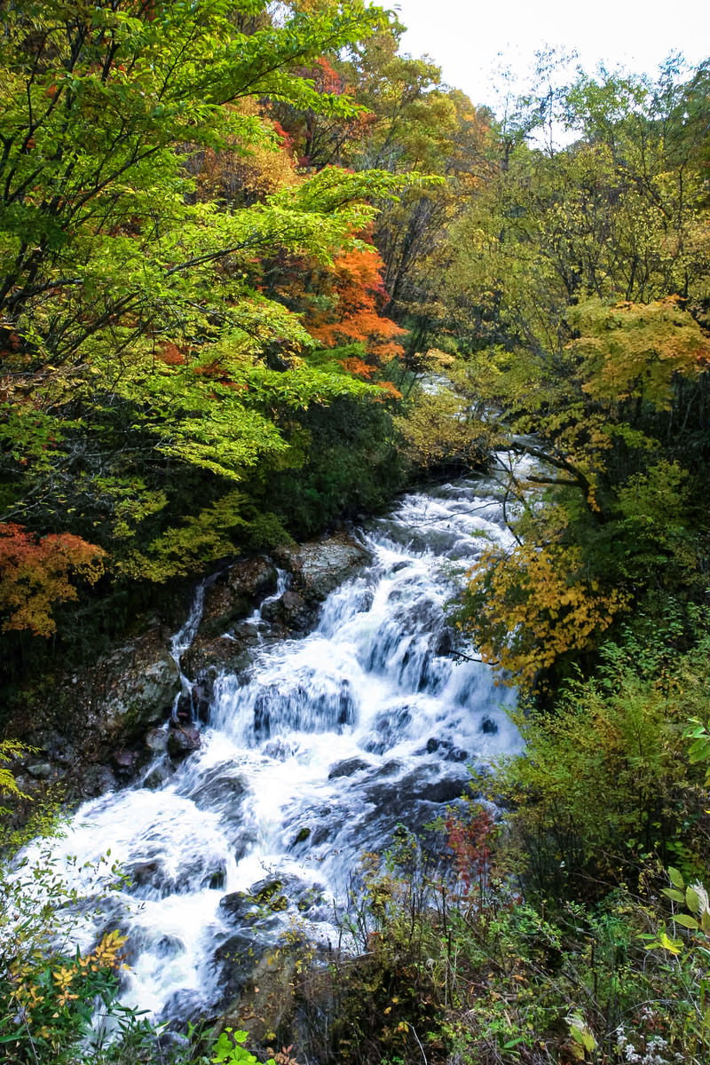 緑から黄色に色づく木々に囲まれた魚止めの滝の秋景色