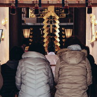 神社での初詣参拝者の後姿の写真
