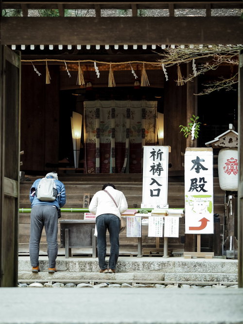 宇治上神社の本殿前で祈願中の参拝客