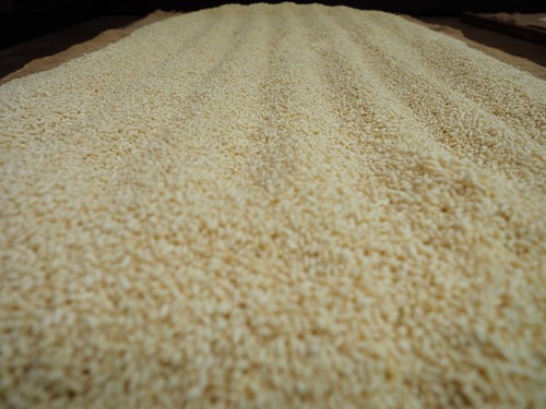 乾燥中の麹の粒々とした表面texture