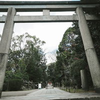 石清水八幡宮の三ノ鳥居と緑豊かな参道の歴史的景観の写真