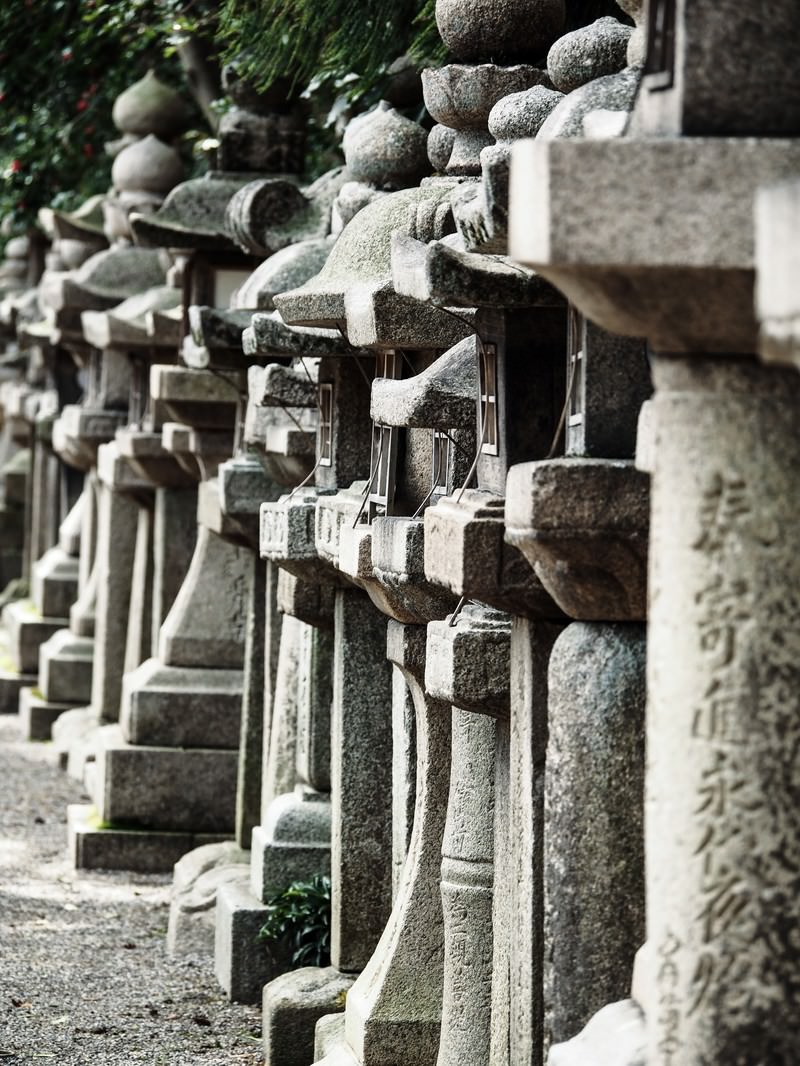 石清水八幡宮の境内に整然と並ぶ複数の石灯籠