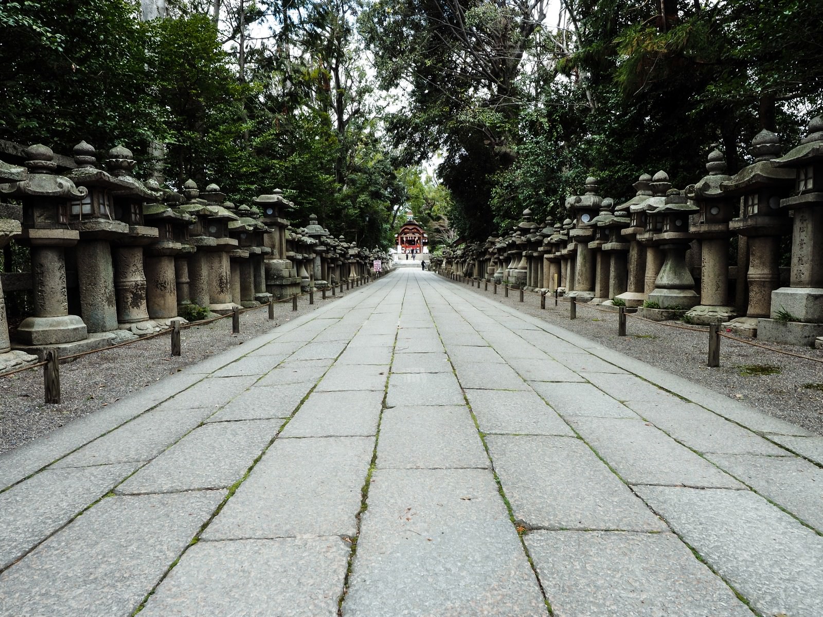 石清水八幡宮の石畳の表参道に両脇に並ぶ石の灯篭