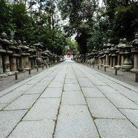 石清水八幡宮の石畳の表参道に両脇に並ぶ灯篭の写真