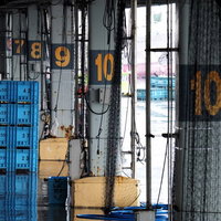 セリ後の気仙沼漁港に整然と並ぶ青いボウラの写真