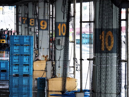 セリ後の気仙沼漁港に整然と並ぶ青いボウラ