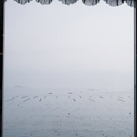 窓越しに見る志津川湾の浮きの写真