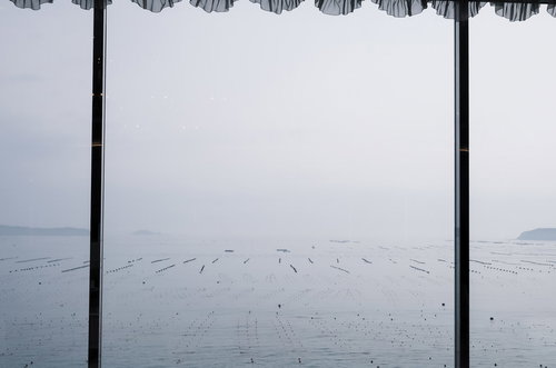 窓越しに見る志津川湾の浮き
