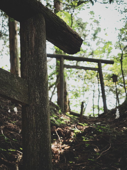 鳥居から続く厳しい修験道（玉置神社）