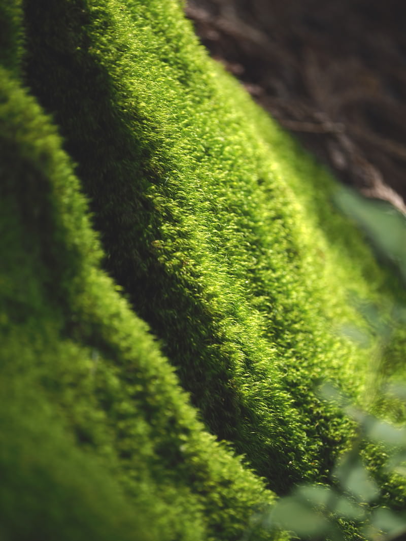 首元をタオルで冷やしてつらそうな男性