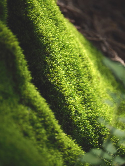 首元を冷やしてつらそうな男性