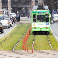 緑化された軌道を走る熊本市電の路面電車と都市景観の写真