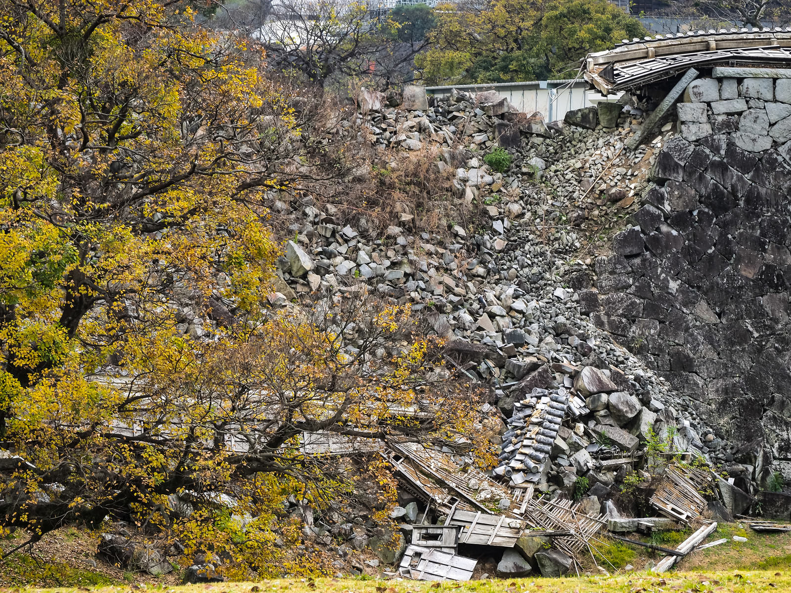 熊本地震で被災した熊本城の石垣と黄葉した木々