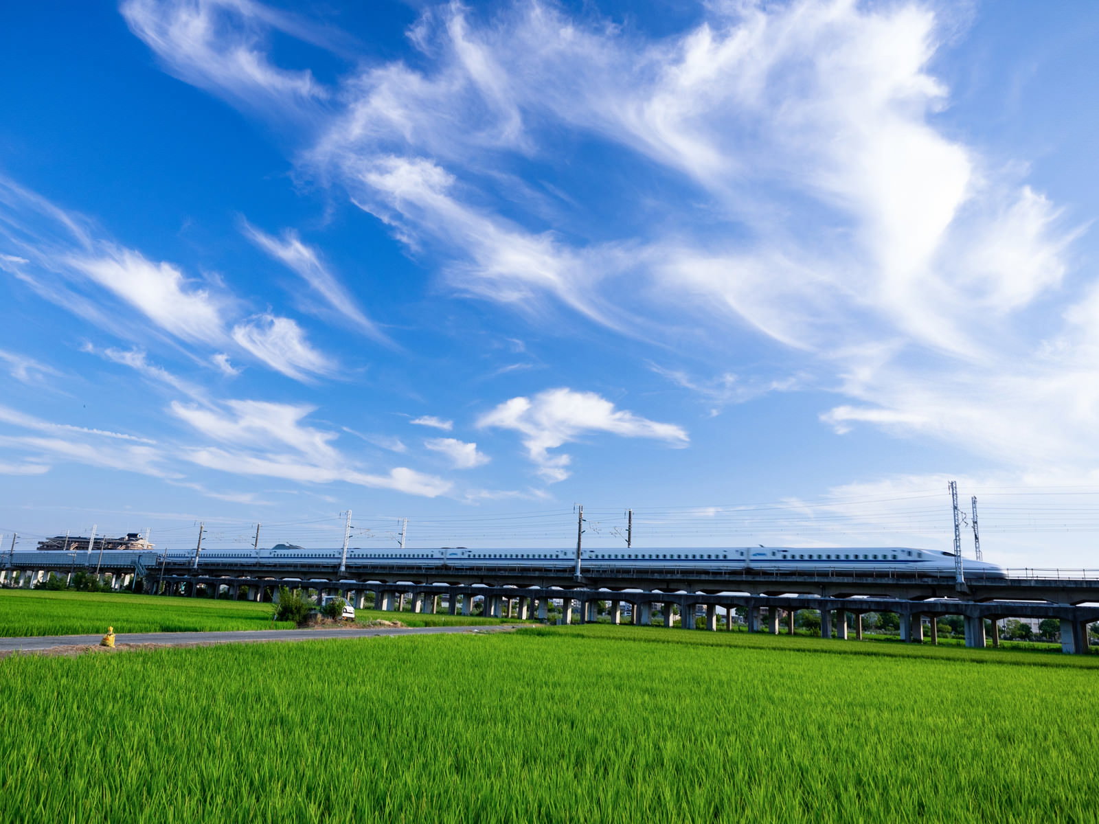 青空の下、緑の田園風景を走るN700系新幹線