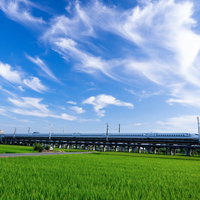 青空と田園風景を走り抜けるN700系新幹線の写真