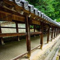 吉備津神社の傾斜が続く長い木造回廊の風景の写真