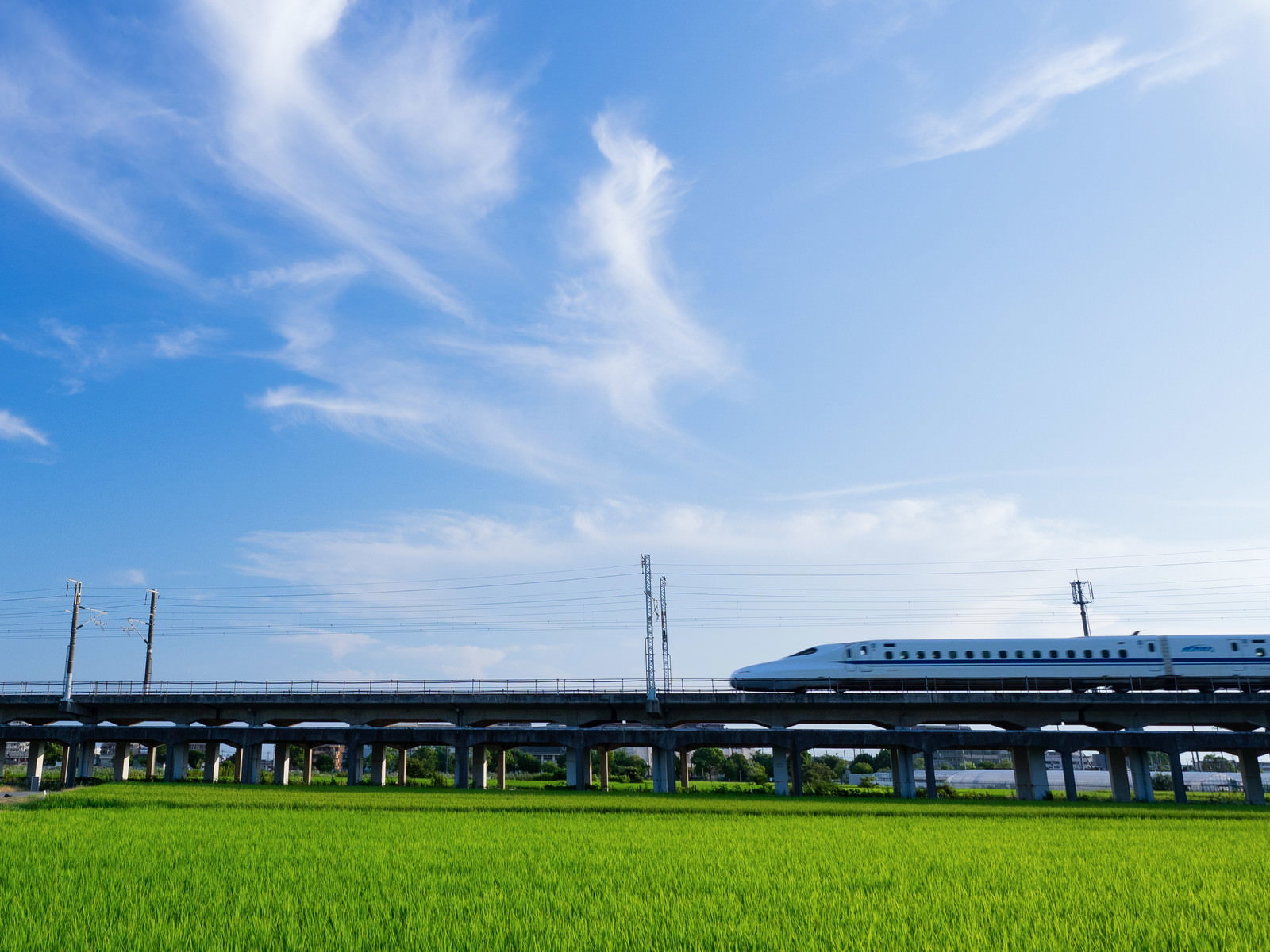 青空の下を走るN700系新幹線と緑の草地