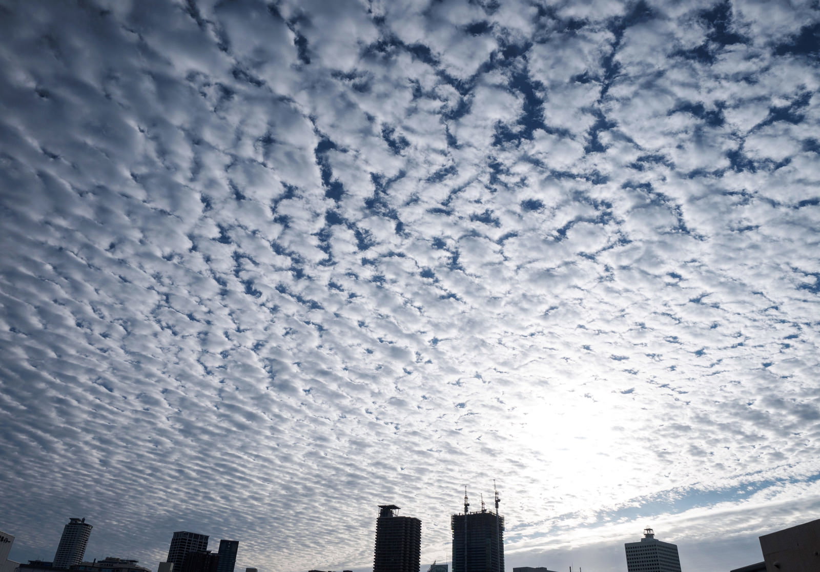 空一面に広がるうろこ雲とビル群