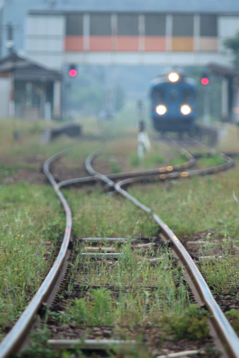 草が覆う線路を前照灯を点けて近づくローカル列車