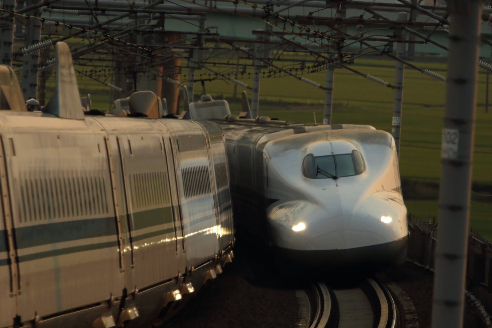 駅の留置線に停車する複数の新幹線の先頭車両