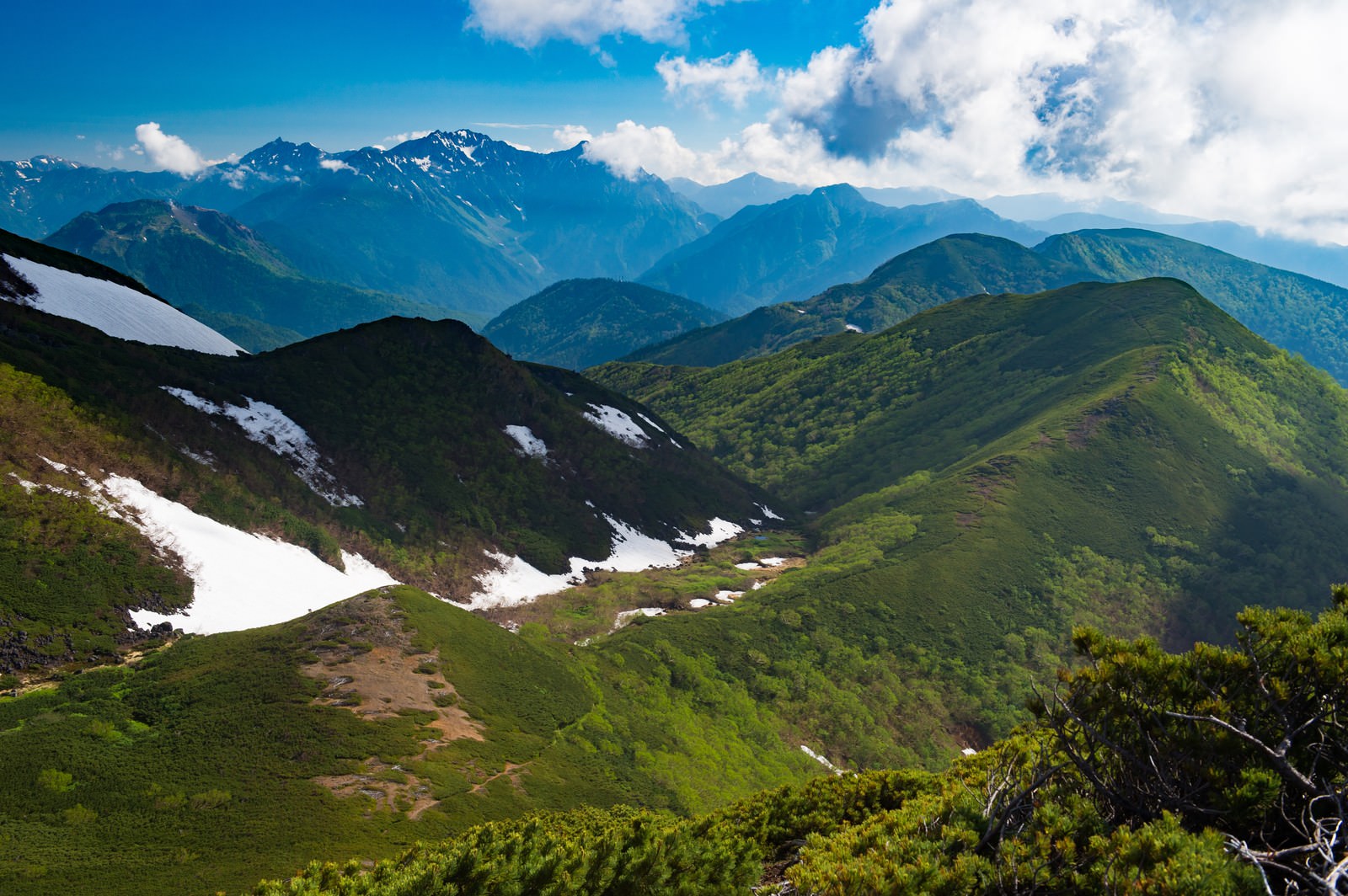 青空の下、緑の山々と残雪が織りなす乗鞍新登山道からの高山景観