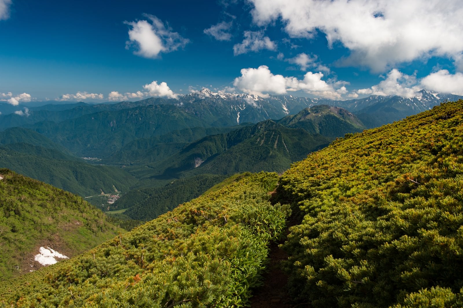 乗鞍新登山道から見た北アルプスの山並みと青空に浮かぶ雲