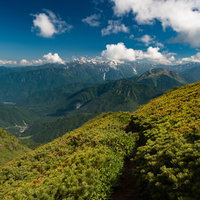乗鞍新登山道から眺める北アルプスの山並みの写真